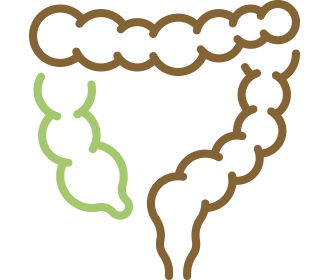大腸カメラ検査